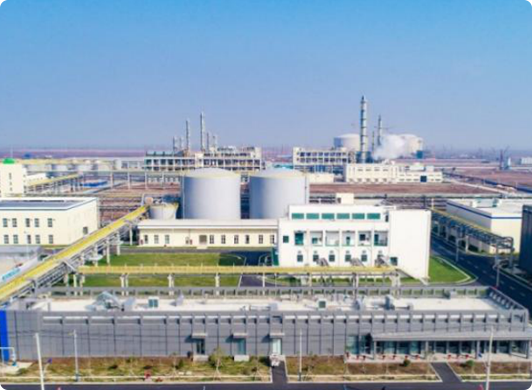 z6mg人生就是博扬农“退城进园”